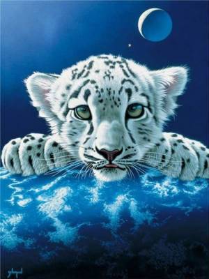 tigre